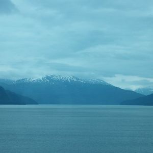 Meet your Posher, Roy